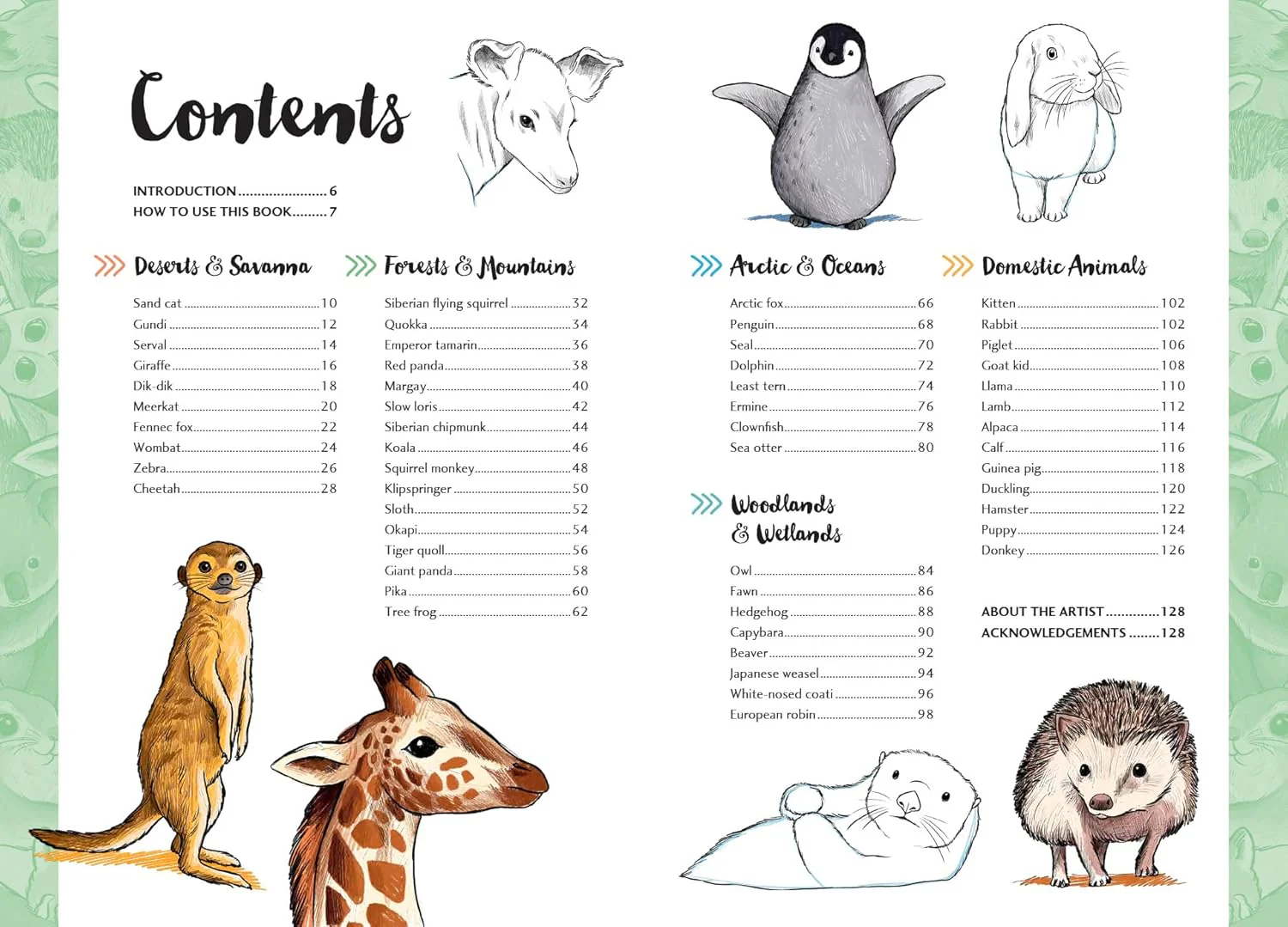10 Step Drawing: Cute Animals - Image 2
